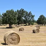 Casa Amarilla Arribes *