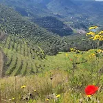 Casa Amarilla Arribes Holiday home Cerezal de Penahorcada