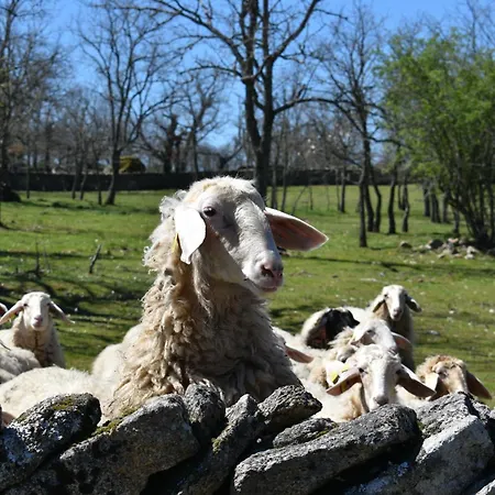 Holiday home Casa Amarilla Arribes