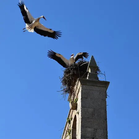 Holiday home Casa Amarilla Arribes