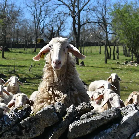 Casa Amarilla Arribes Nyaraló *