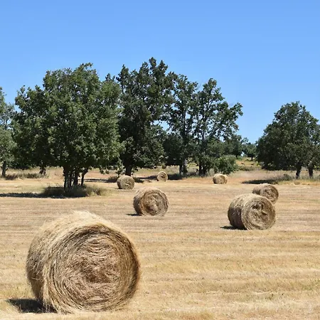 Casa Amarilla Arribes *